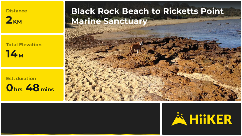 Black Rock Beach to Ricketts Point Marine Sanctuary | Bayside | Victor