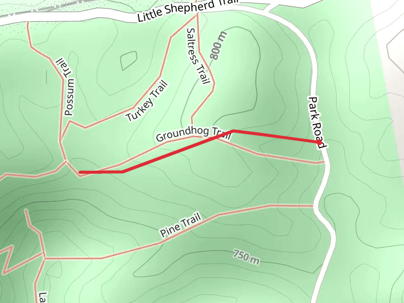 Groundhog Trail