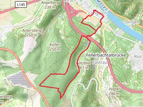Longuich Loop via Longuicher Wald