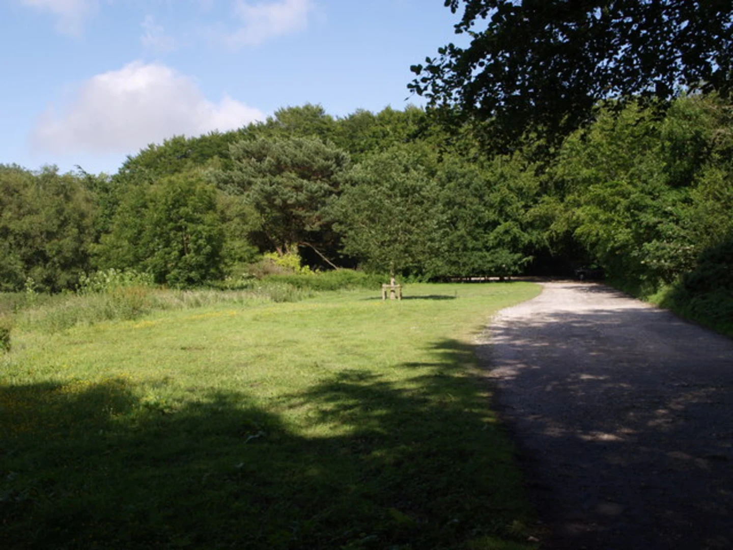 An image depicting the trail Thorncombe, Chard Junction and Fishpond Bottom Loop and its surrounding area.