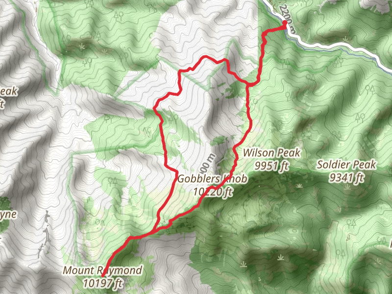 Mount Raymond via Alexander Basin Trail and Alexander Bowman Trail