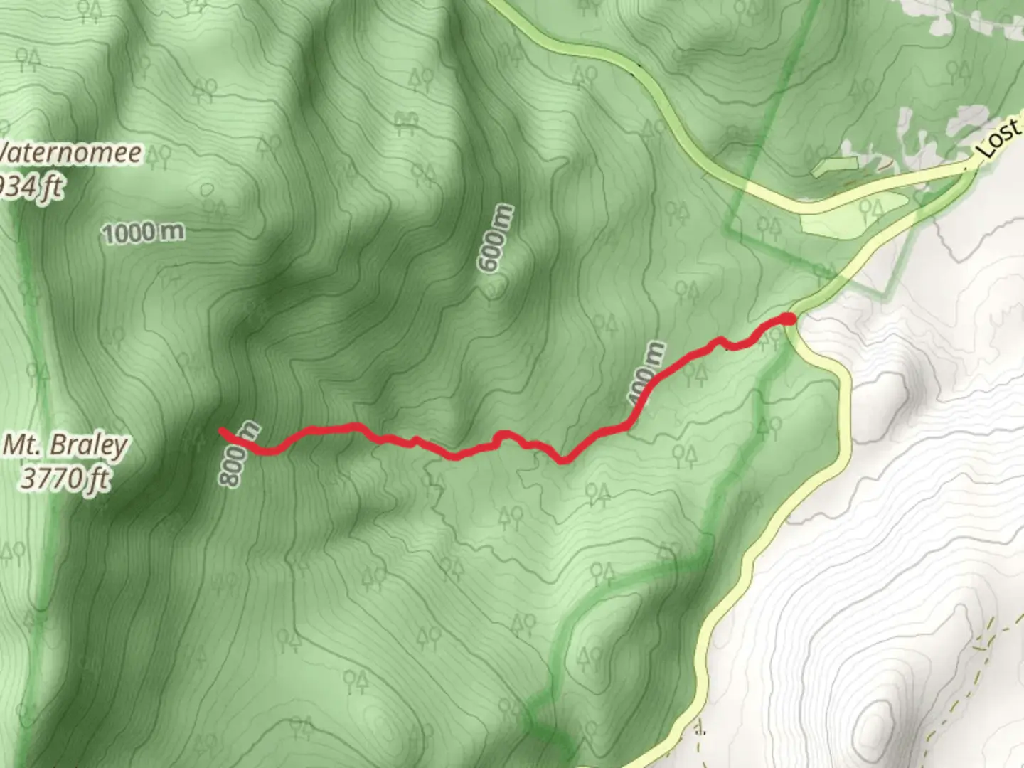 An image depicting the trail Walker Brook Trail and its surrounding area.