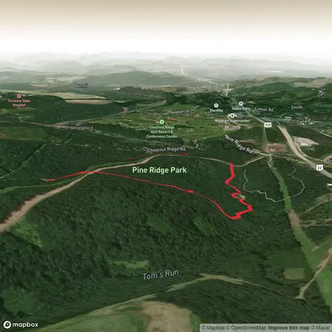Lodge Trail