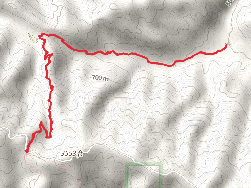 Forbush Canyon Trail from Cold Spring Saddle