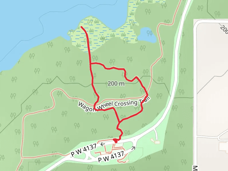 Lost Pines Loop Trail