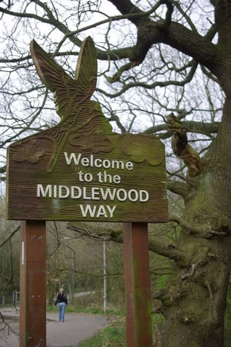 Middle Wood via Middlewood Way
