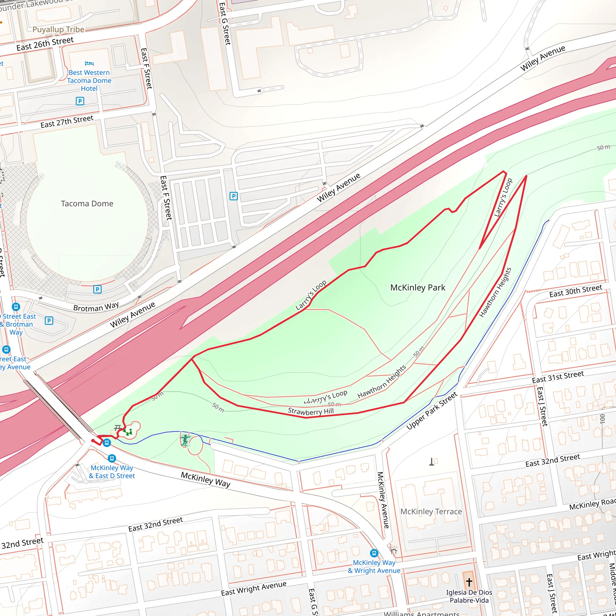 Strawberry Hill and Larry's Loop - McKinley Park mobile static map