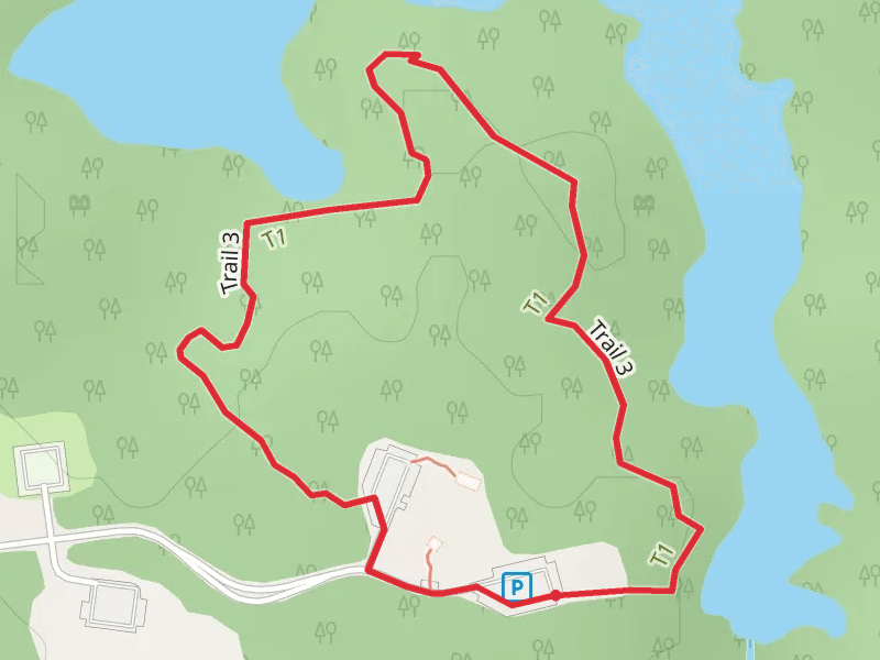 Trail 3 Loop
