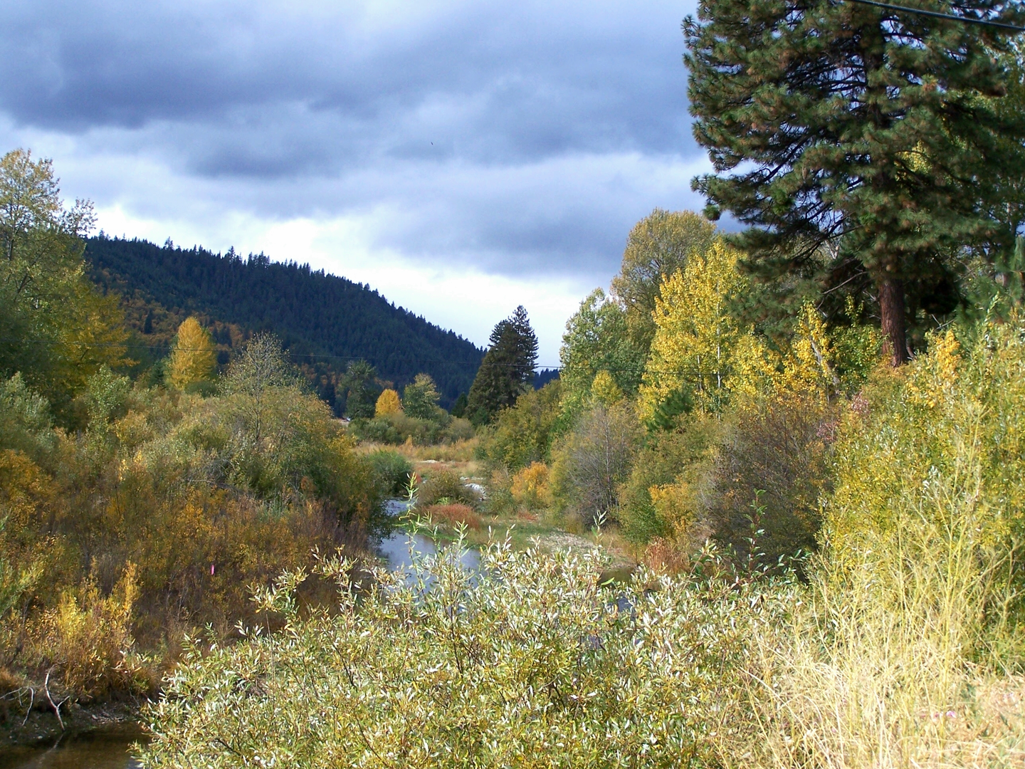 An image depicting the trail Cascade Trail Out and Back and its surrounding area.