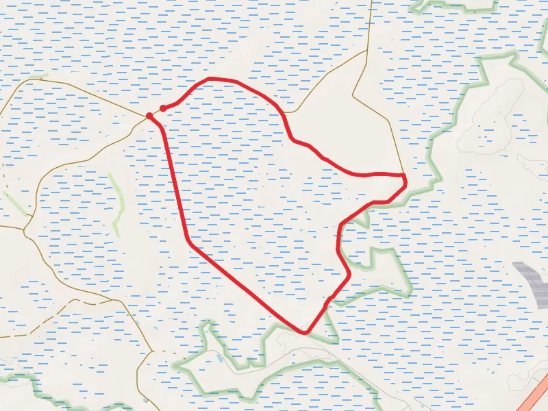 Tram Road Loop