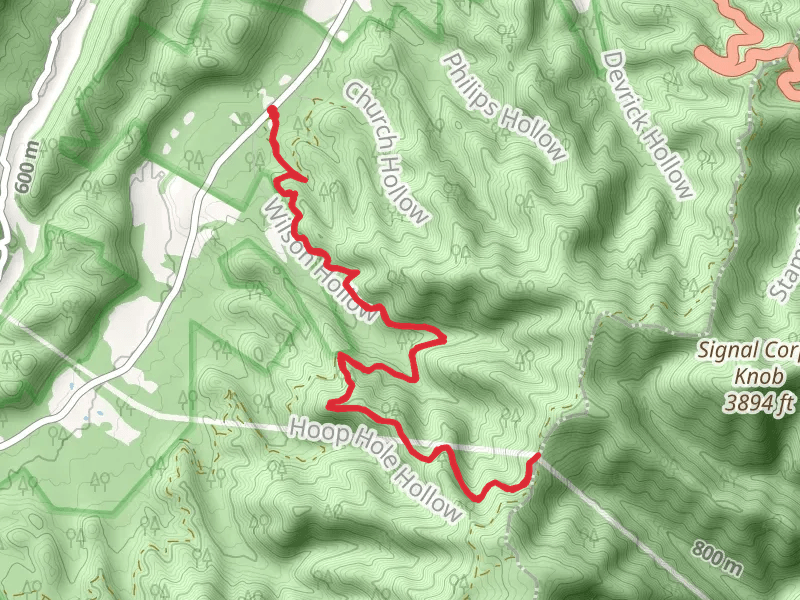 Shaws Fork Trail