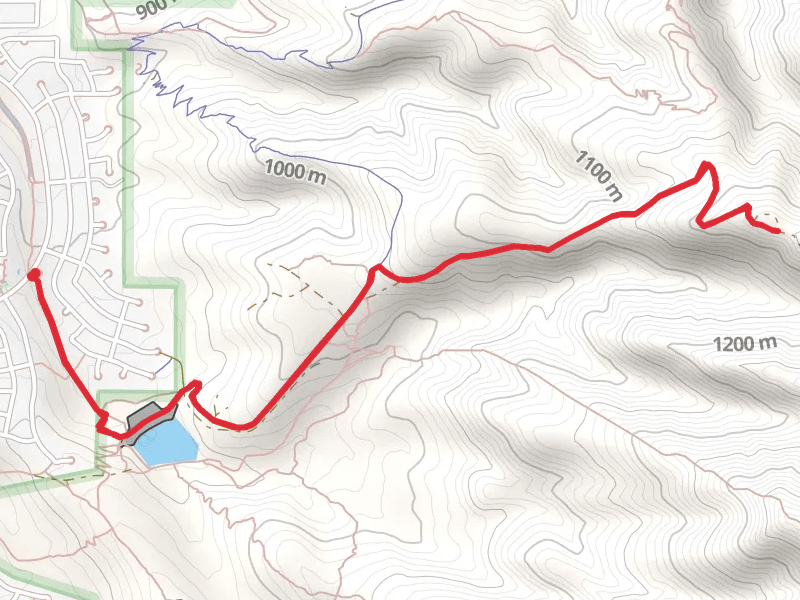 Black Mountain-Arden Peak and Anthem East Trail