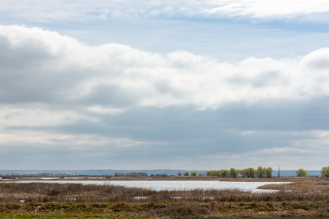 Laguna de la Nava
