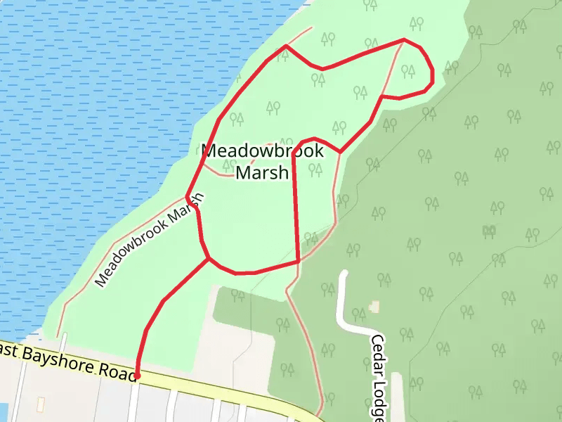 Meadowbrook Marsh Loop