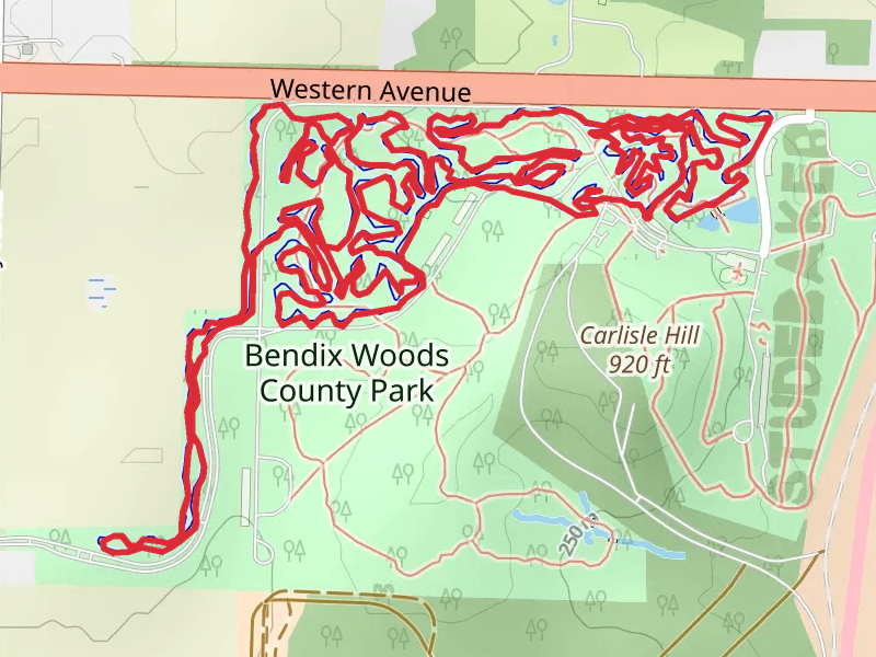 Bendix Woods County Park Loop