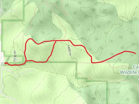 Calf Creek Loop