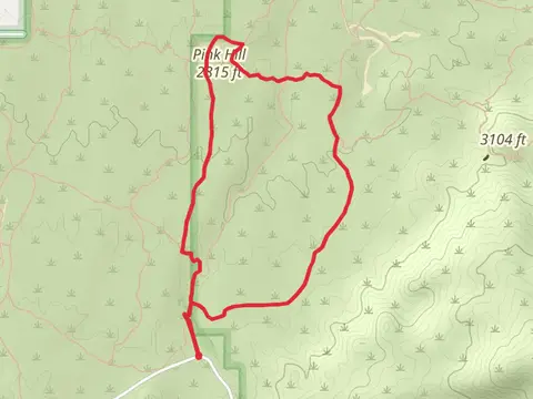 Loma Verde, Pink Hill and Squeeze Pen Loop Trail