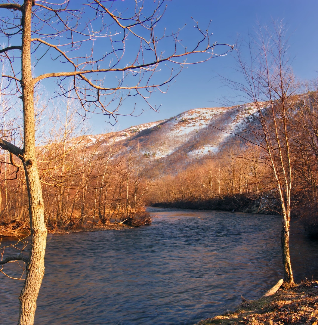 An image depicting the trail Lehigh River Trail and its surrounding area.