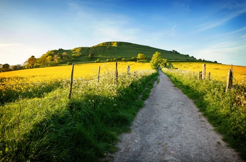 Cley Hill Loop