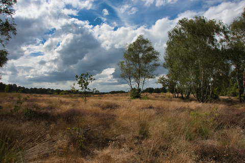 Huize De Raekt, Maarheezerveld and Hugterbroek Loop