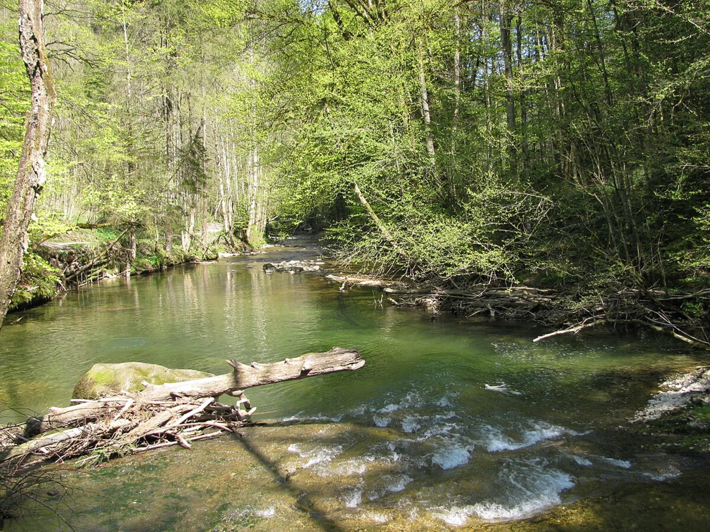 An image depicting the trail Obere Argen via Eistobel Wanderweg and its surrounding area.