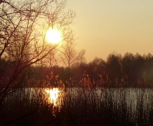 Natuurpark Lelystad Loop