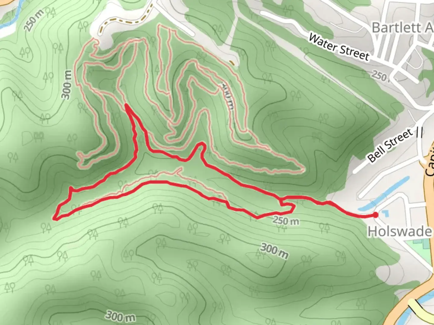 An image depicting the trail Ben's Run Loop Trail and its surrounding area.