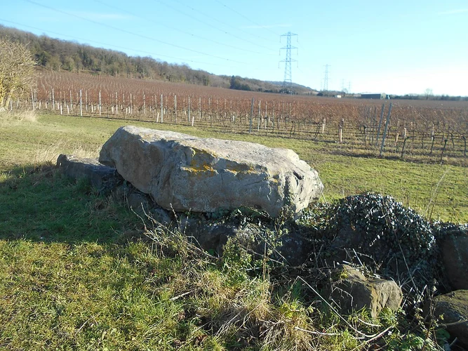 Bluebell Hill and Cobtree Manor Park Loop