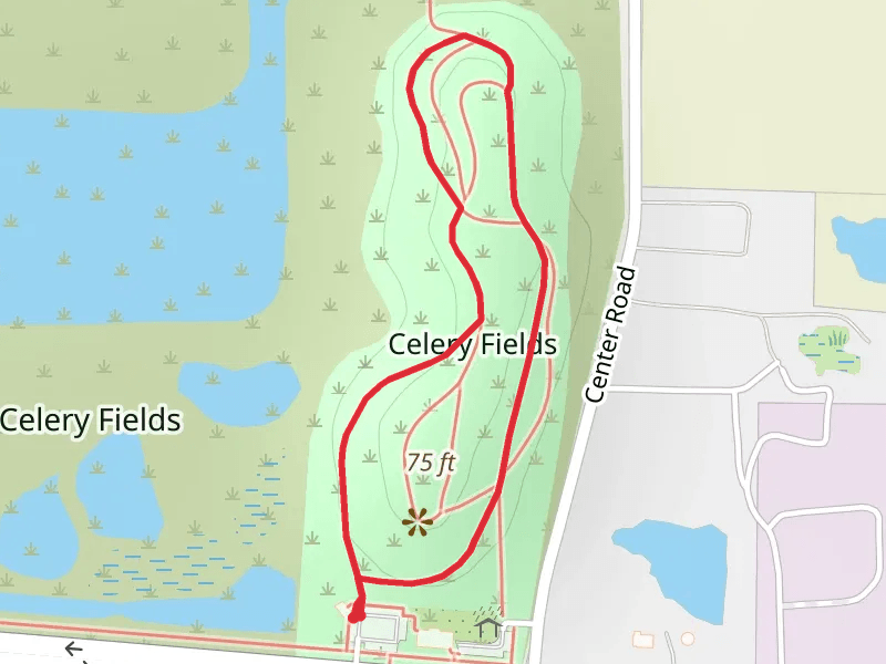 Celery Fields Loop
