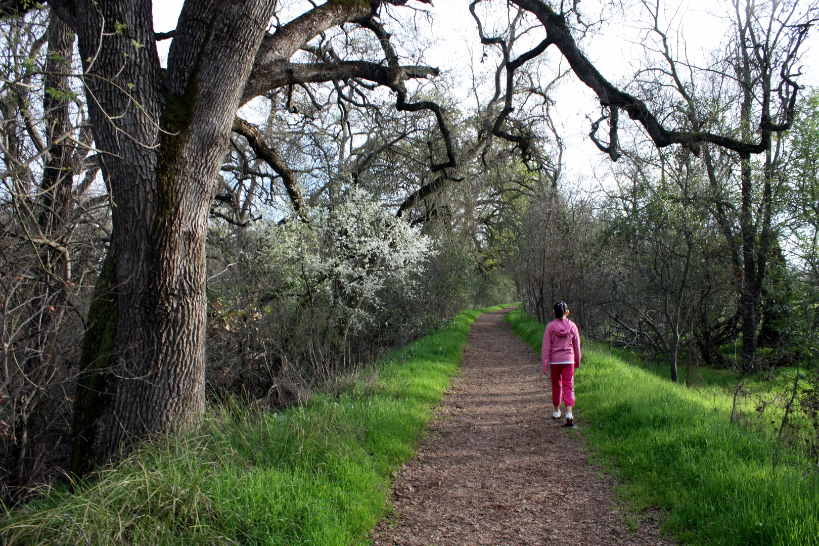 An image depicting the trail Gibson Lake and Dry Creek Loop - Long and its surrounding area.