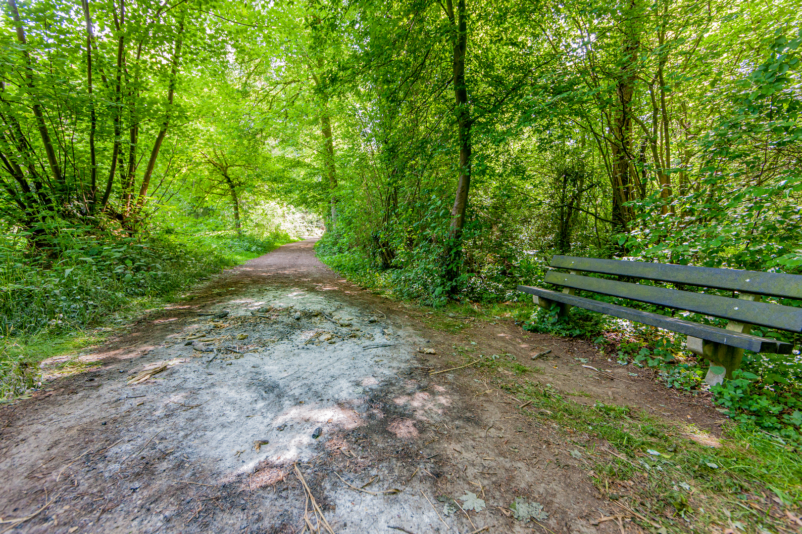 An image depicting the trail Schadijke Bossen and Sint Martinsberg Loop and its surrounding area.