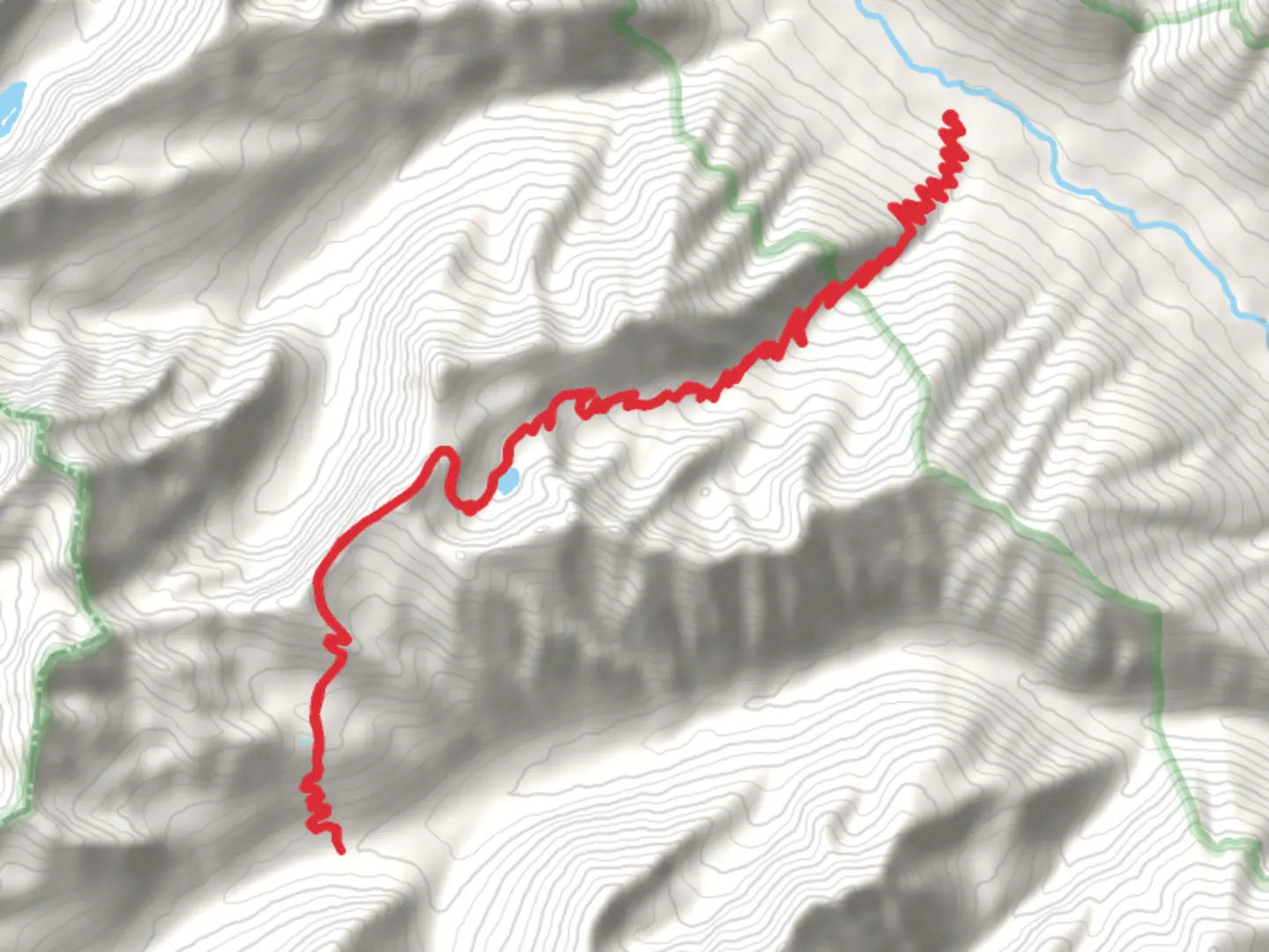 An image depicting the trail Toni Basin via Williams Creek Trail and its surrounding area.