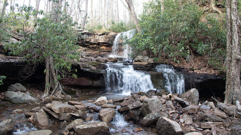Cole Run Falls