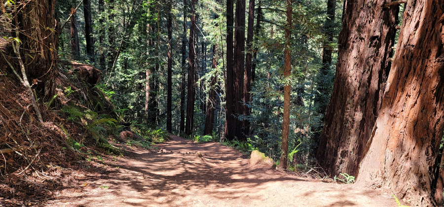 Girls Camp via Bridle Trail and East Ridge Trail