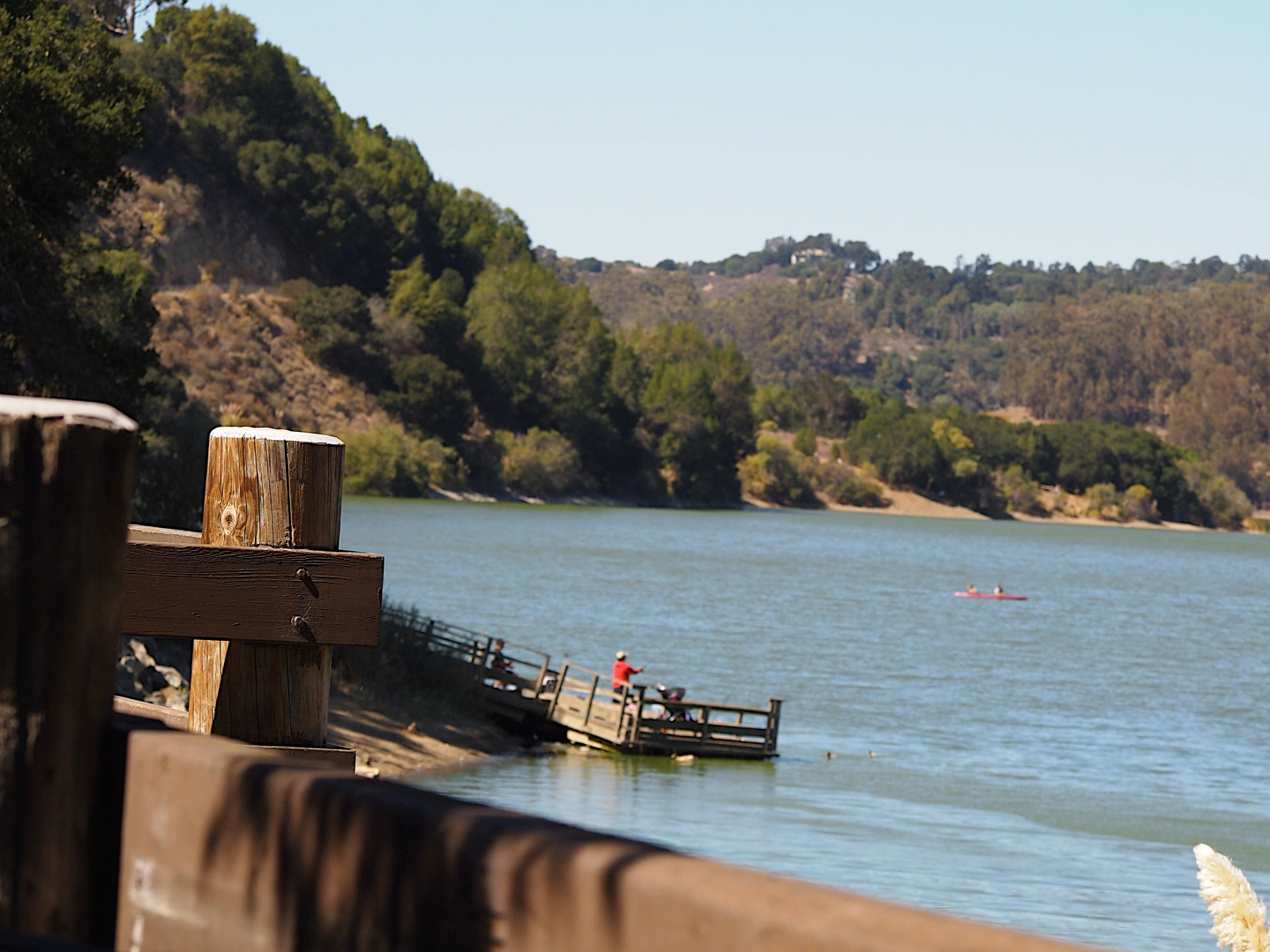 An image depicting the trail San Leandro creek via West Shore Trail and its surrounding area.