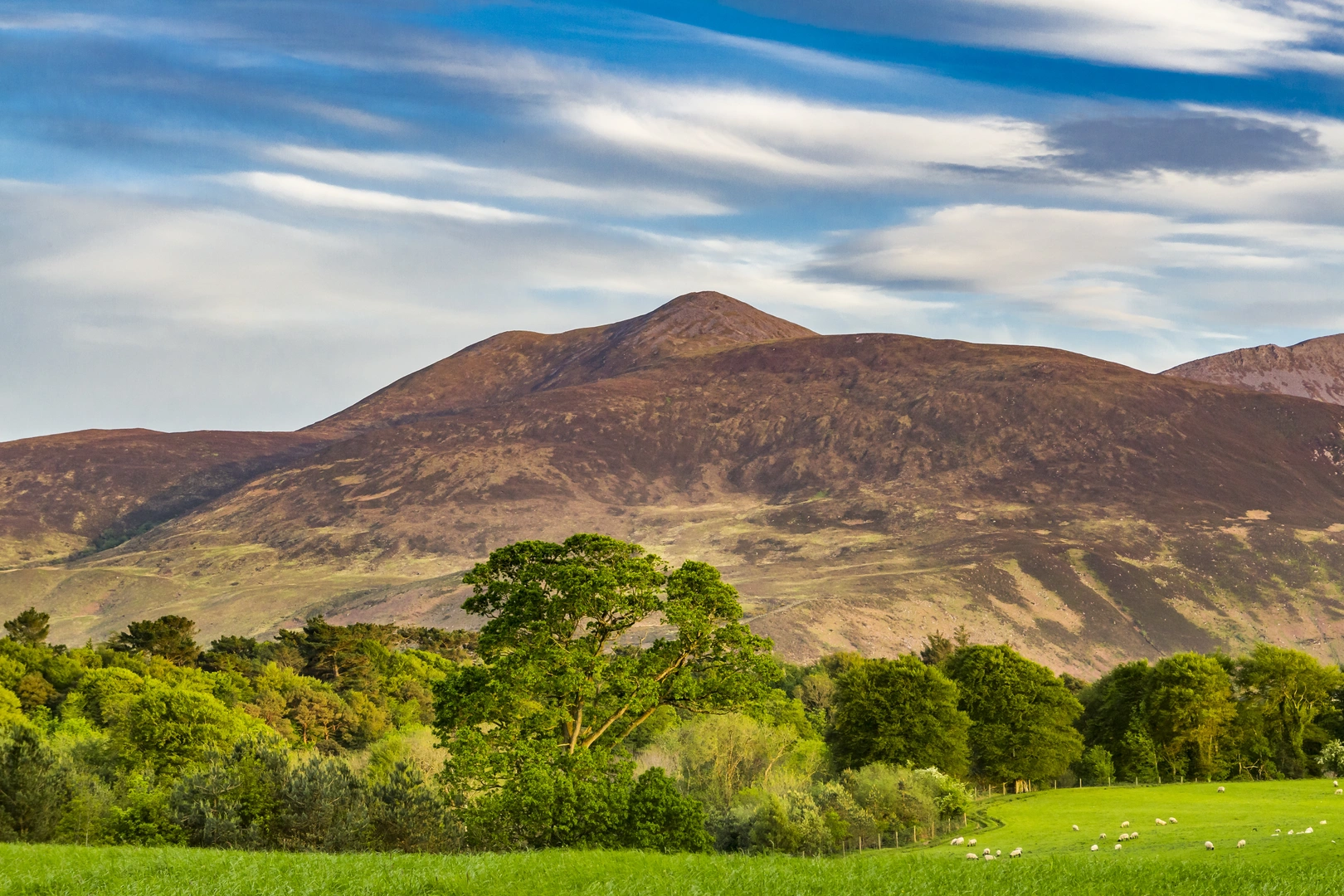 An image depicting the trail Purple Mountain and its surrounding area.