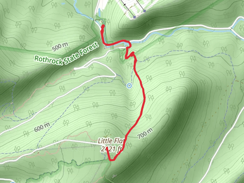 Little Flat Summit Trail from Galbraith Gap