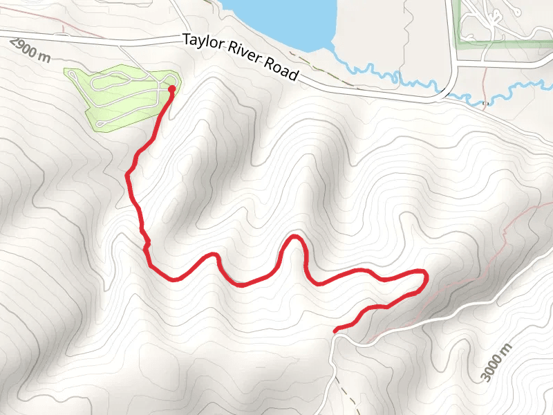 Lakeview Campground Trail Out and Back