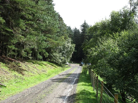 Glen Clova Path - Trout Loch Path