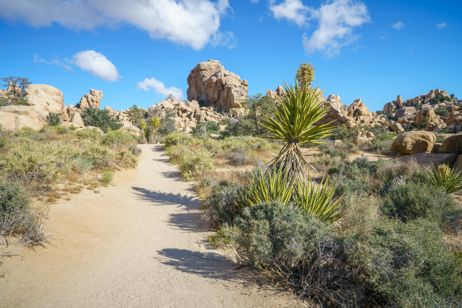 An image depicting the trail Hidden Valley Trail and its surrounding area.