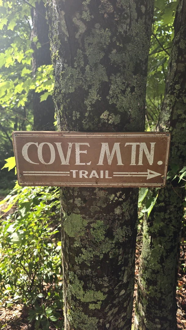 An image depicting the trail Windsong Cabin to Cataract Falls on Cove Mtn Trail and its surrounding area.