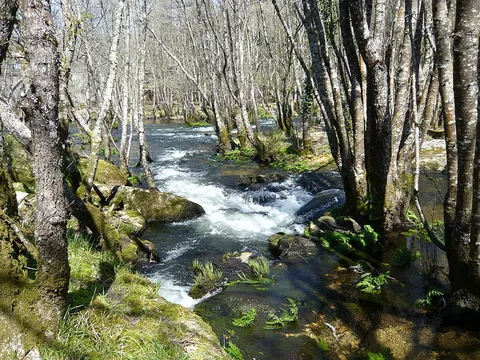 Guitiriz Water Route PR G 99
