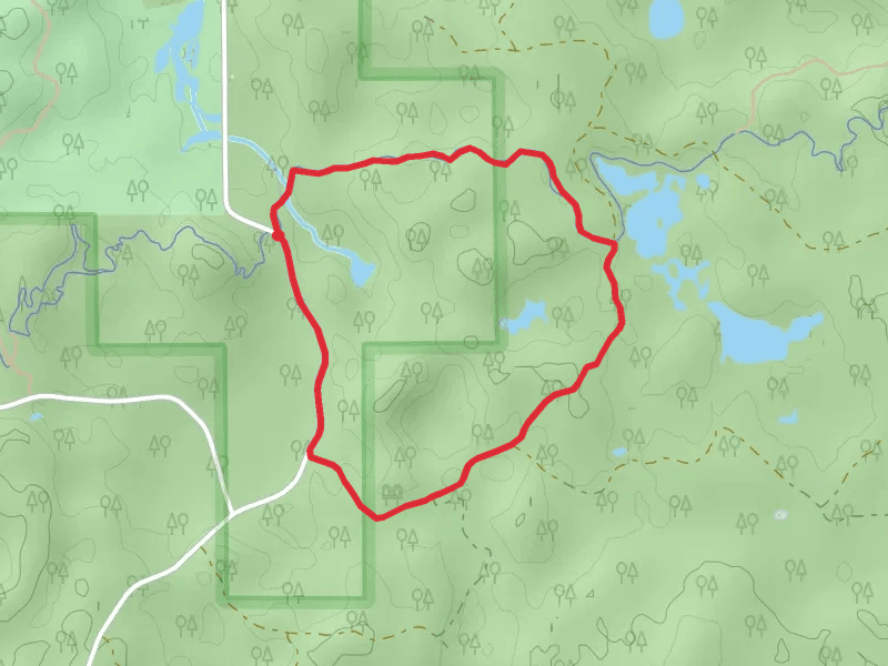 Esker Trail and Spider Lake Fire Lane Loop