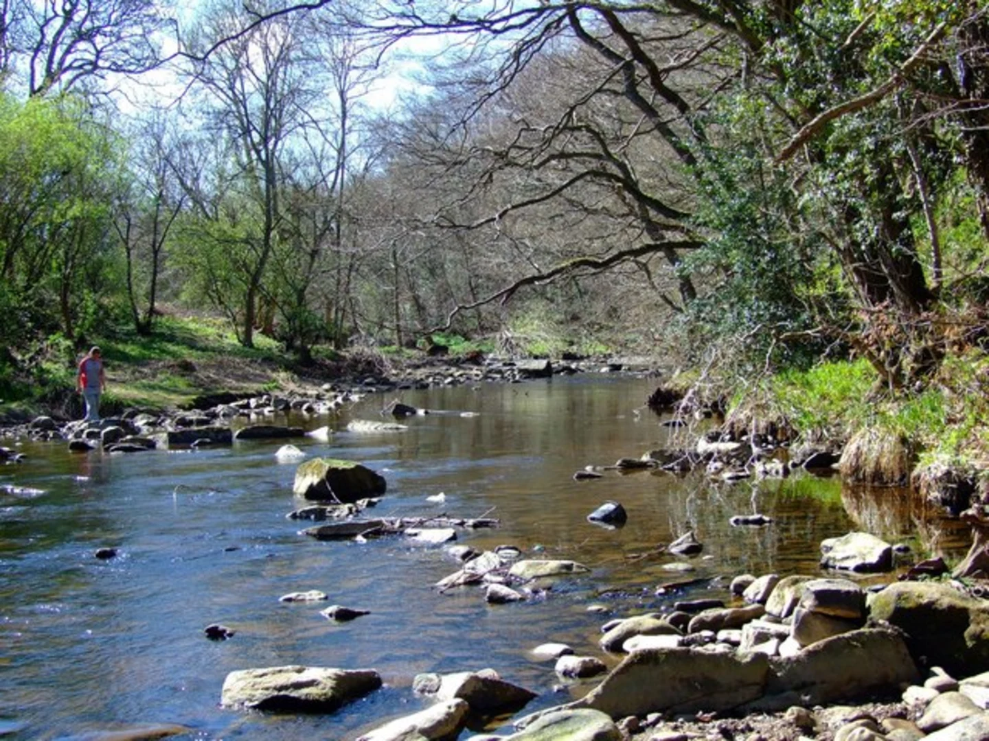 An image depicting the trail Allensford Country Park Loop and its surrounding area.