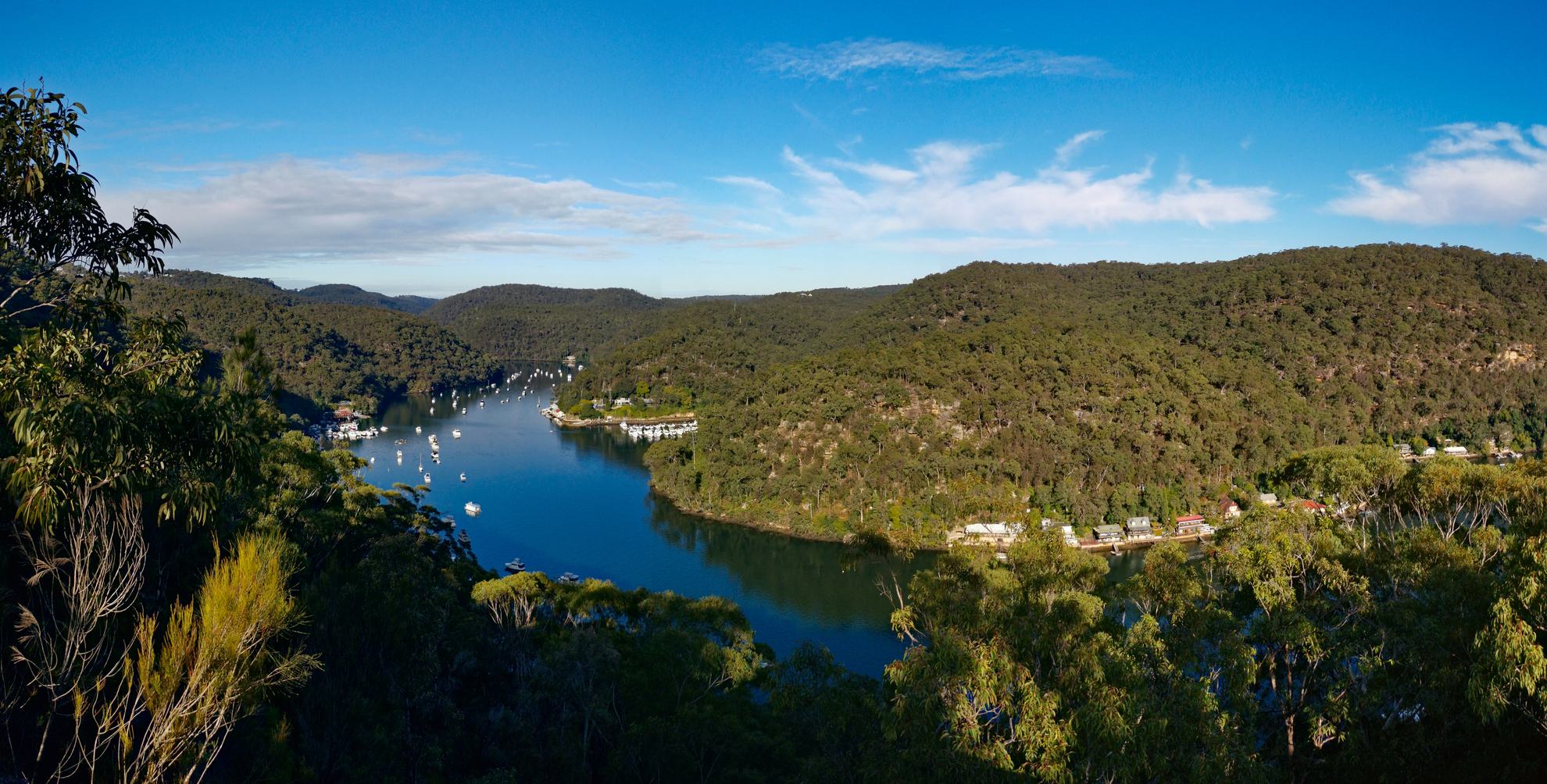 An image depicting the trail Lyrebird Gully Circuit and its surrounding area.