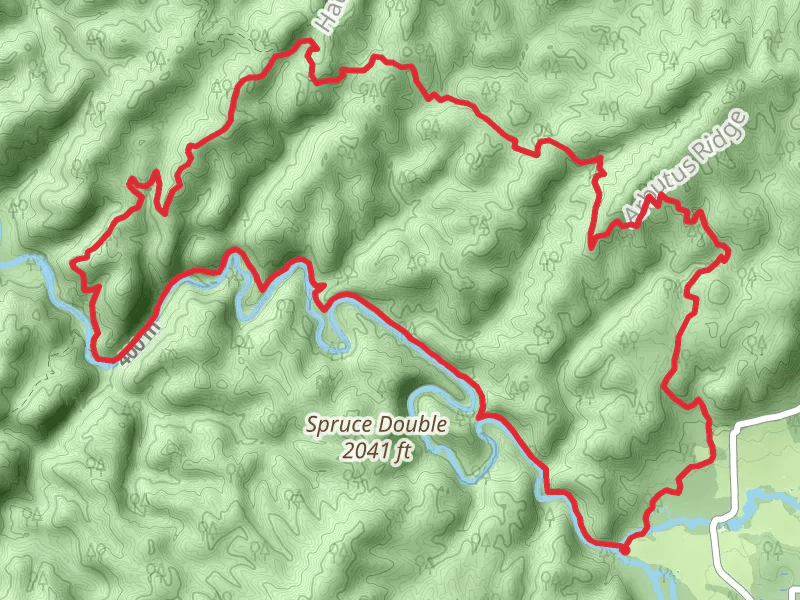 Abrams Falls Trail and Cooper Road Trail Loop
