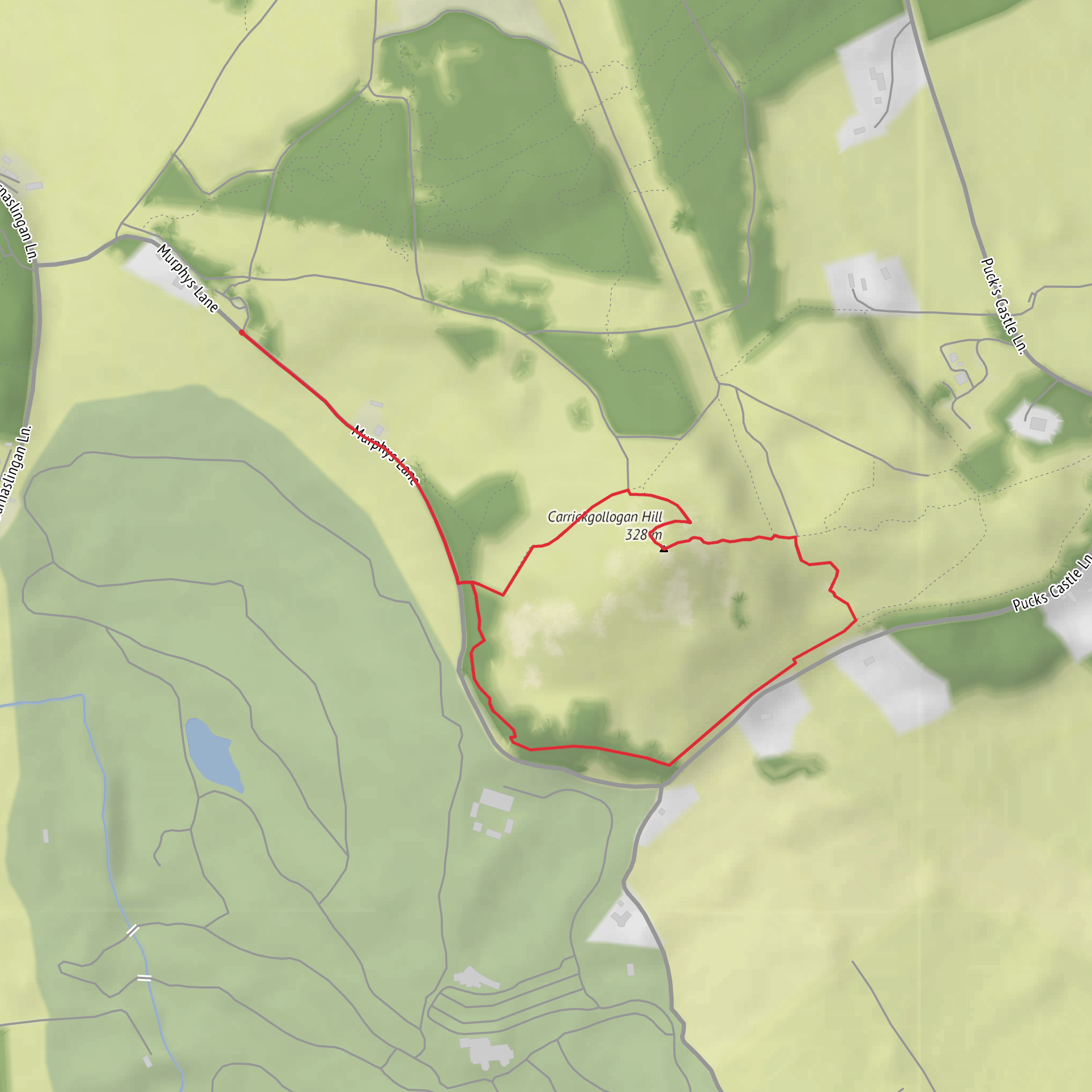 Carrickgollogan Hill Loop mobile static map