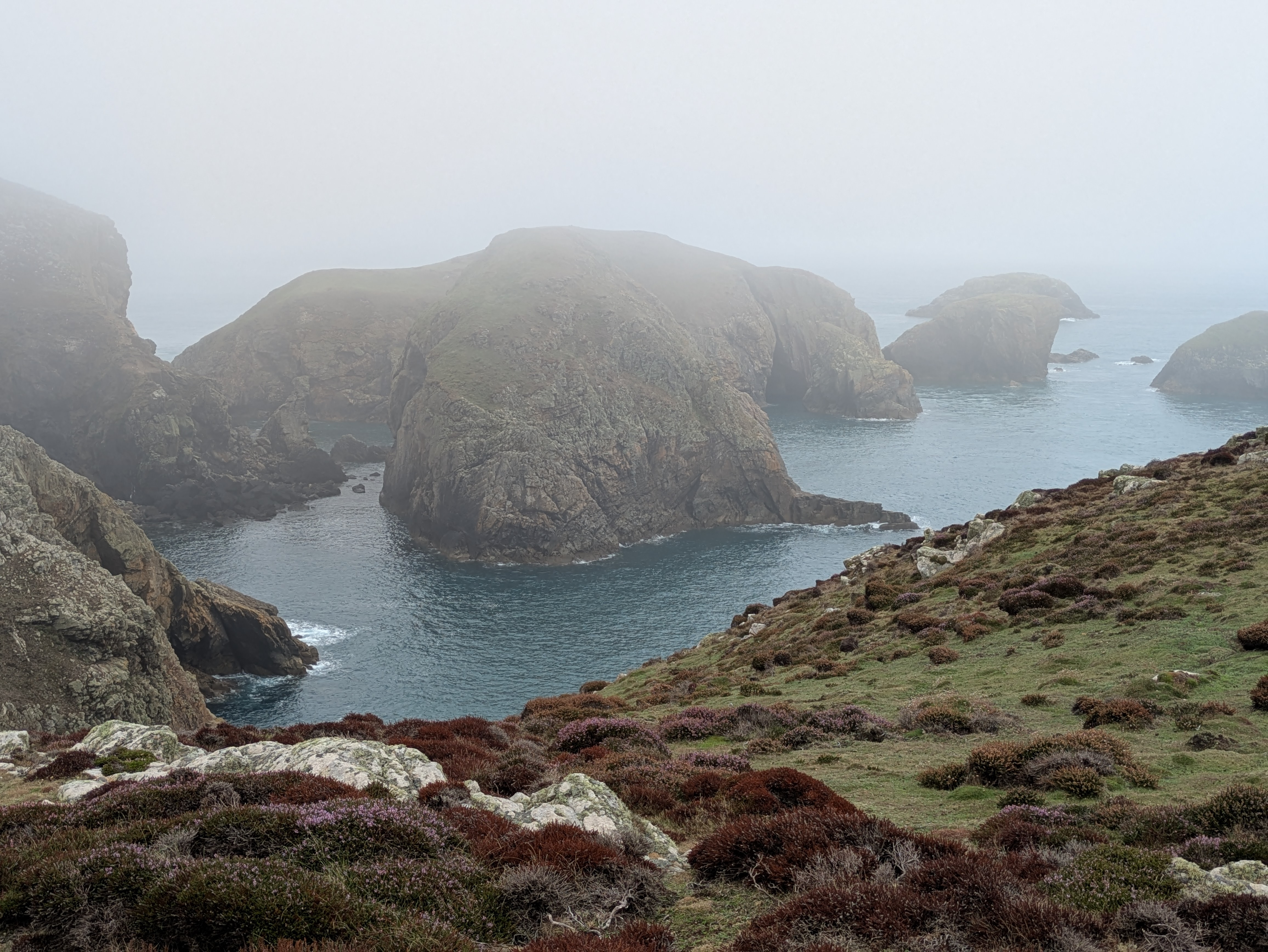 A map preview of the recording Ramsey Island RSPB reserve St. David's.