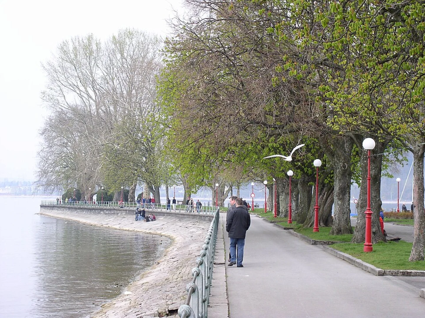 An image depicting the trail Lindau to Bregenz Scenic Walk and its surrounding area.