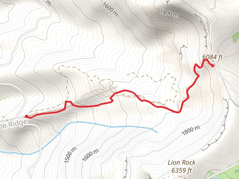 Showshoe Ridge Trail